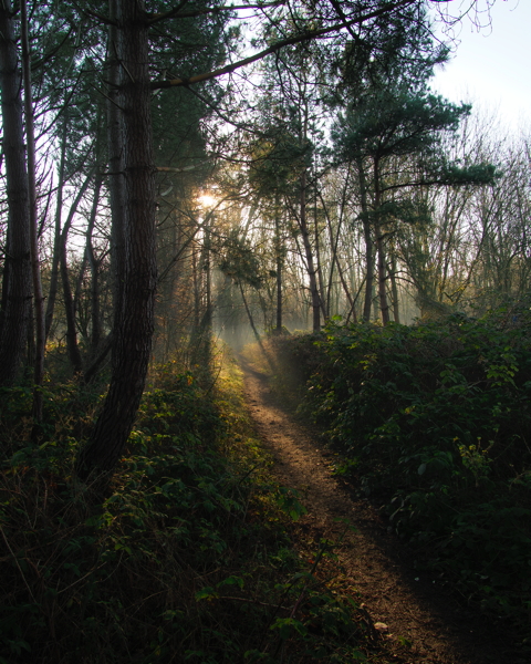 Pathway