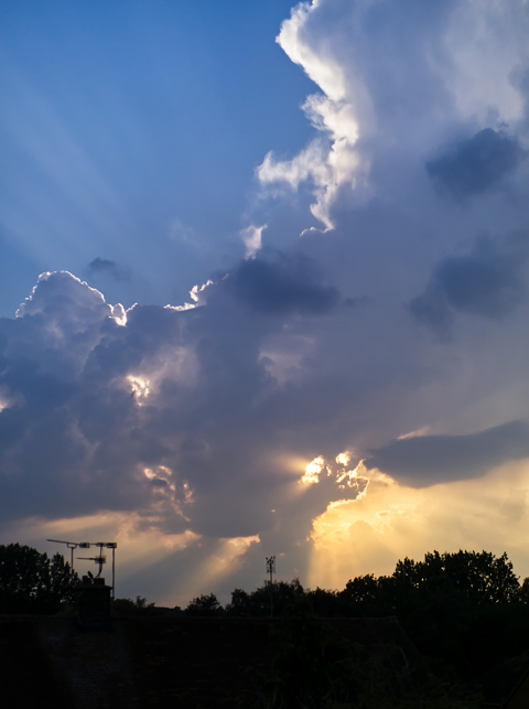 Rays