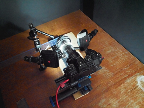 Olympus 60mm Macro, MC14 teleconverter and extension tubes