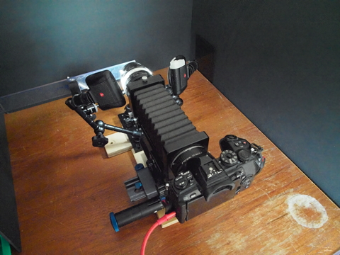 Nikkor 50mm Reversed onto Contax Bellows