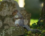 They even stole my sombrero