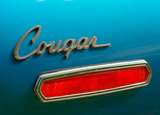 Cougar