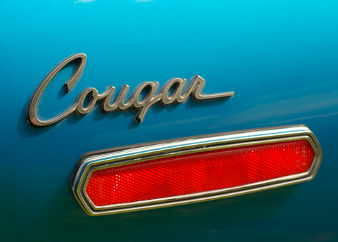 Cougar